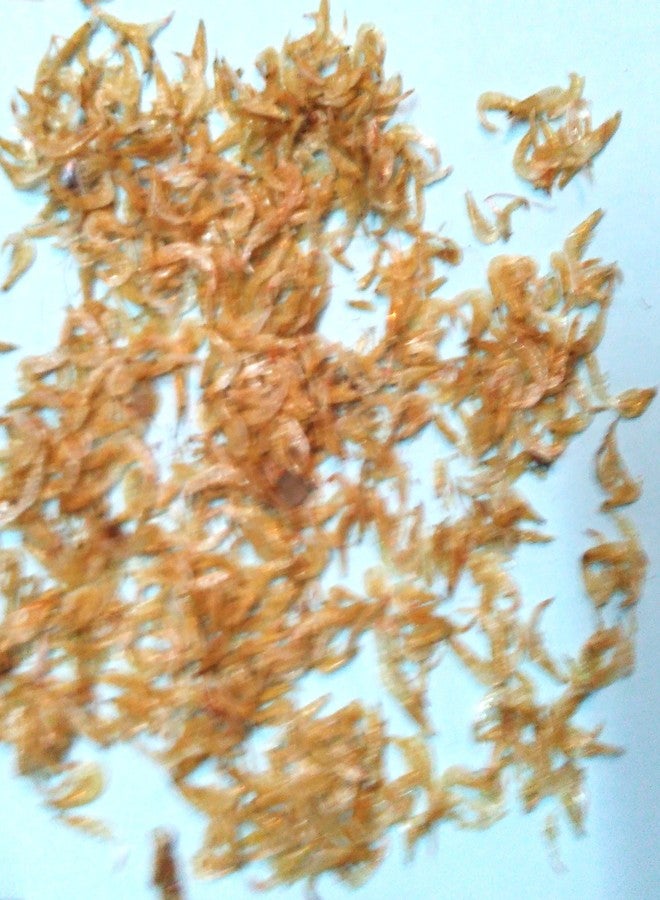 Bague Sree Devaa Very Small Size Dry Shrimp Prawns Aquarium Fish Food For All Life Stages (100 G), 1 Count - Image 3